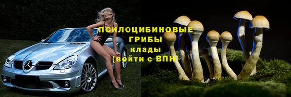 эйфоретик Алексеевка