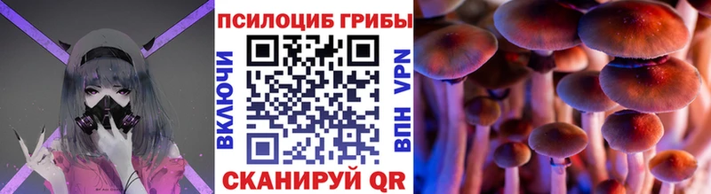 Псилоцибиновые грибы Psilocybine cubensis  где найти   Салехард 